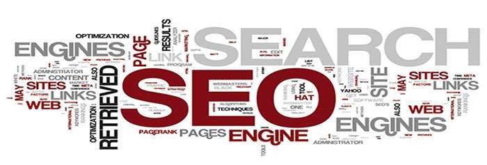 consulenza seo italia online gratis: prezzi e costo consulente seo specialist esperto freelance